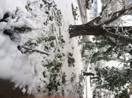 Winter Storm Atlas